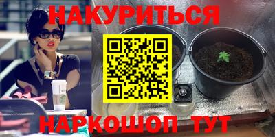 прущие грибы Владикавказ
