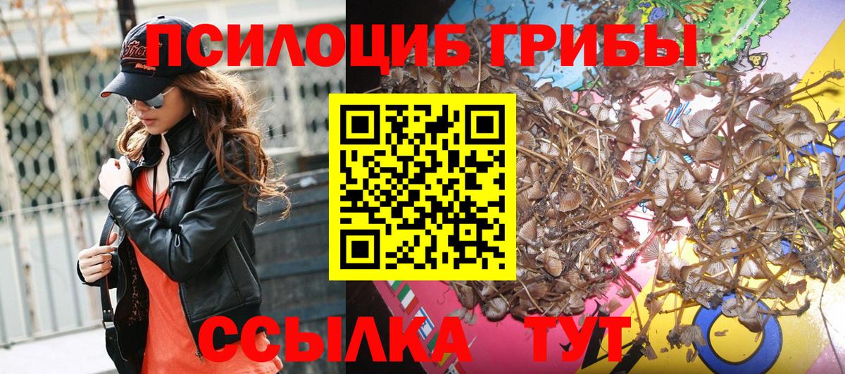 Псилоцибиновые грибы мицелий Сегежа