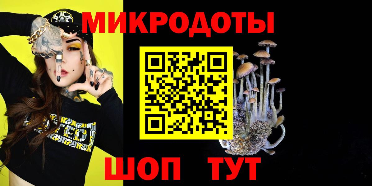 Сегежа  Псилоцибиновые грибы прущие грибы  Вход с VPN 
